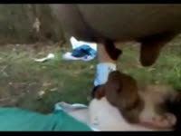 Shit Tube - Drunk and sleeping teen gets shitted on by hairy ass